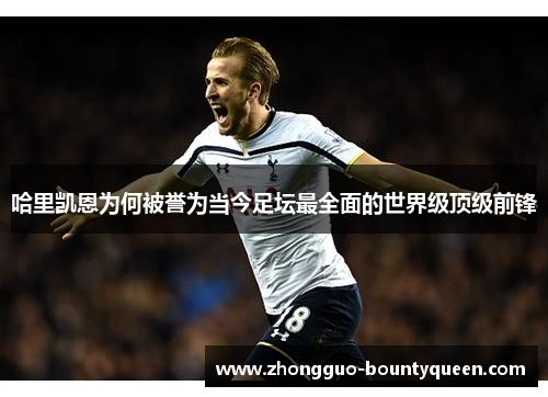 哈里凯恩为何被誉为当今足坛最全面的世界级顶级前锋