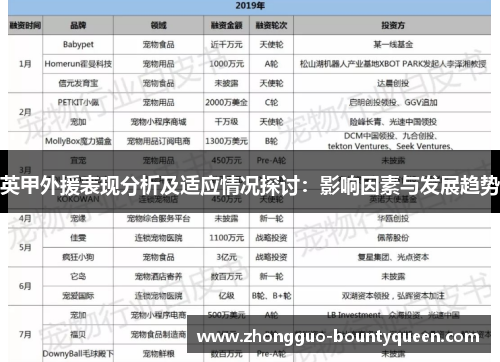 英甲外援表现分析及适应情况探讨：影响因素与发展趋势